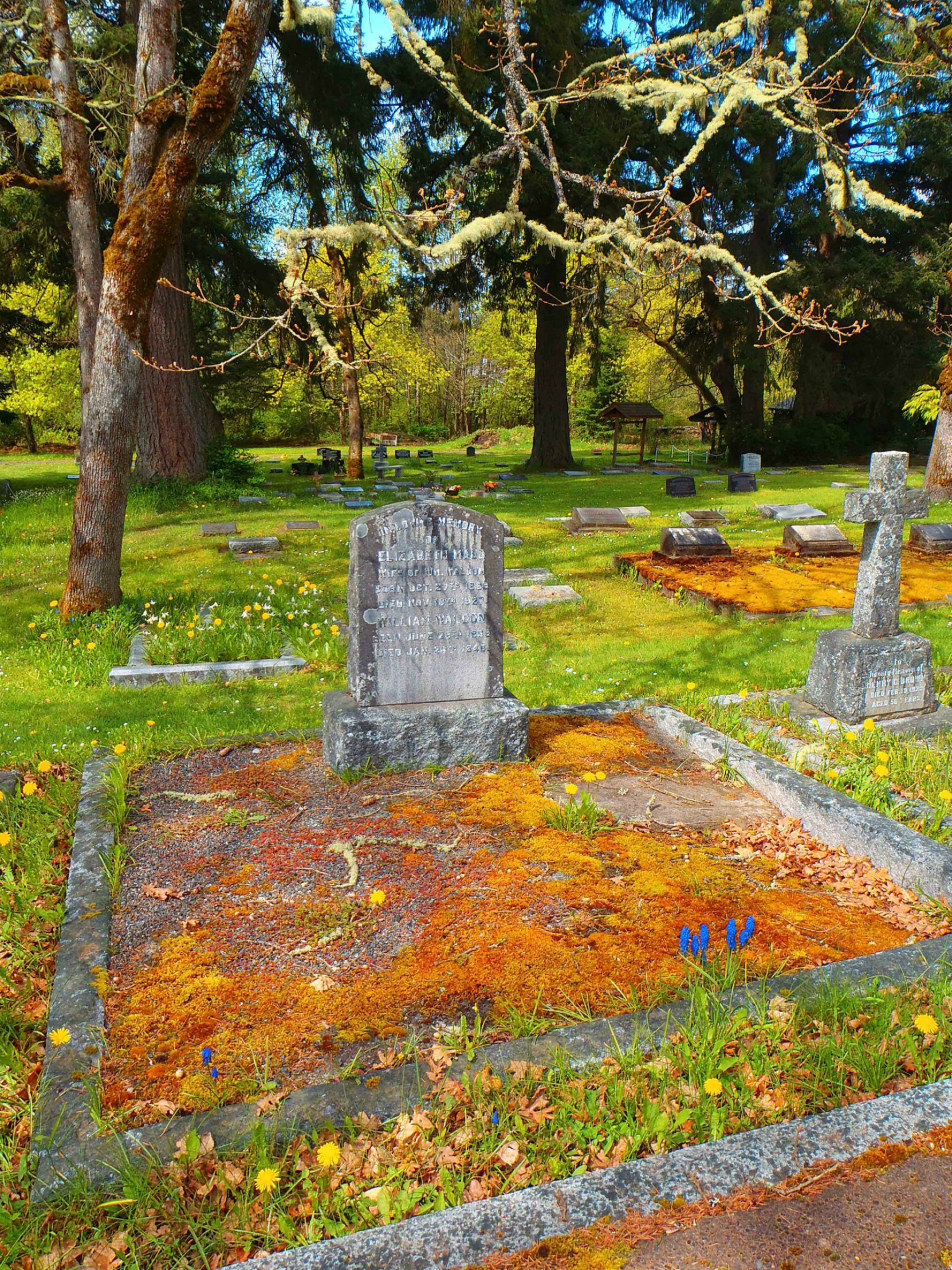 William Waldon grave, St. Peter's Quamichan cemetery, North Cowichan, B.C.